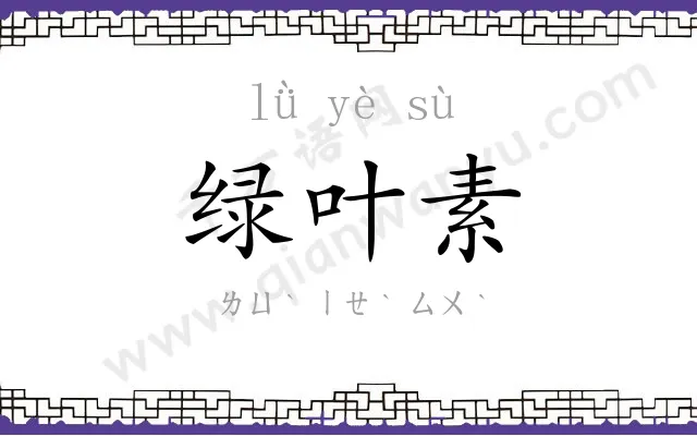 绿叶素