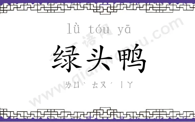 绿头鸭