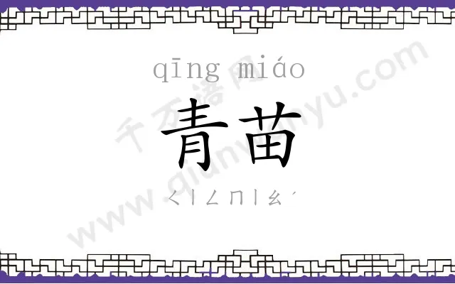 青苗