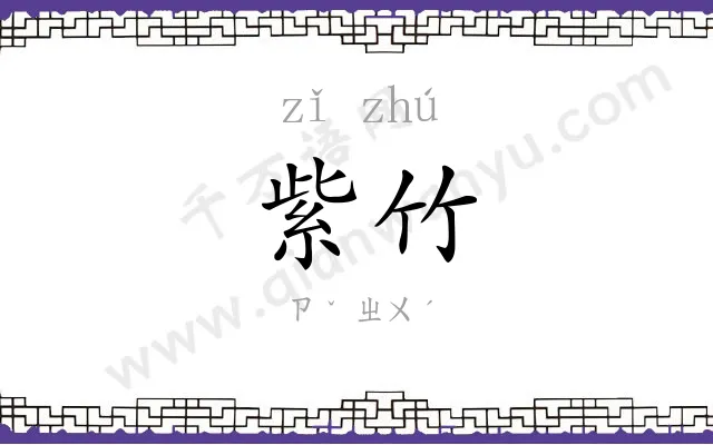 紫竹