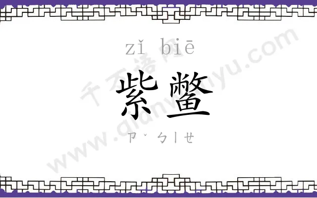 紫鳖