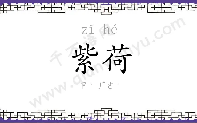 紫荷