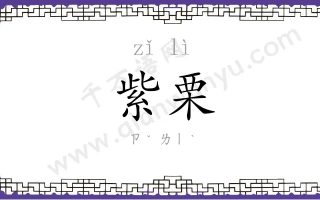 紫栗