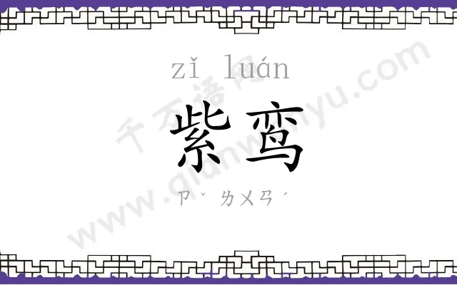 紫鸾