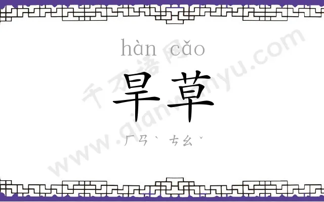 旱草