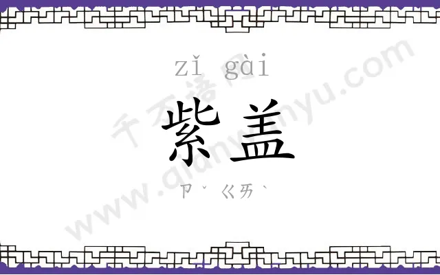 紫盖