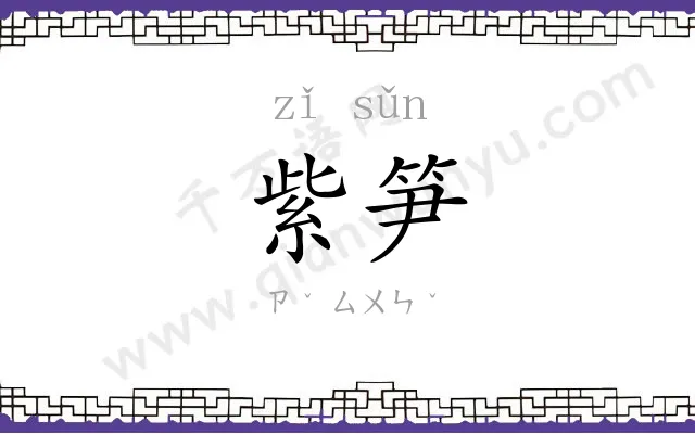 紫笋