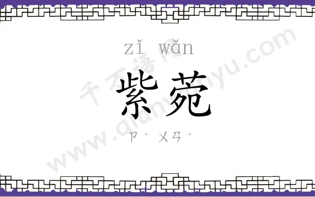 紫菀