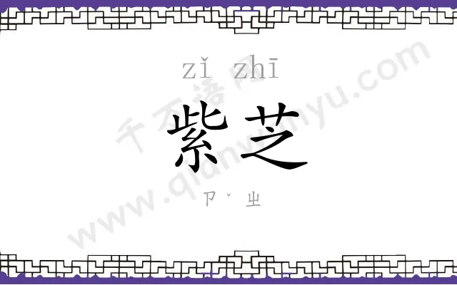 紫芝