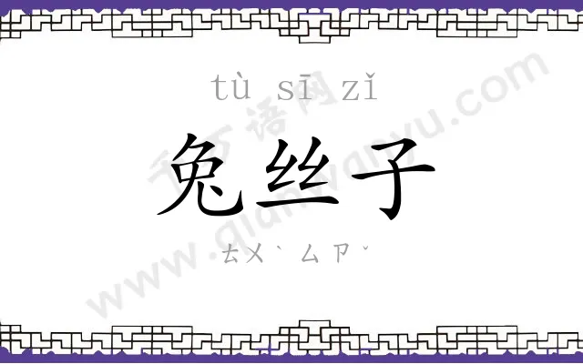 兔丝子