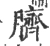臍(宋·印刷字体·广韵)