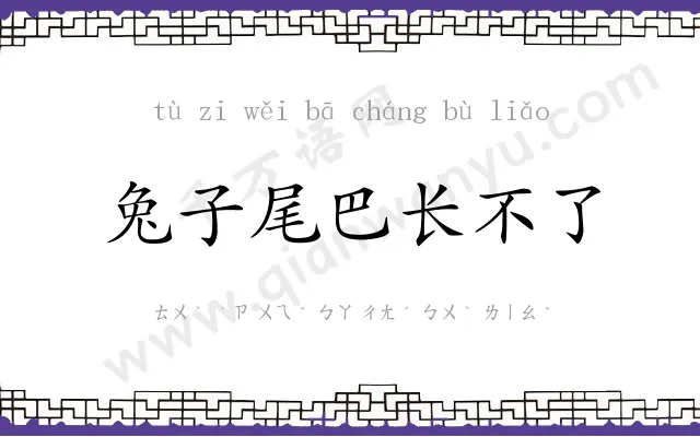 兔子尾巴长不了