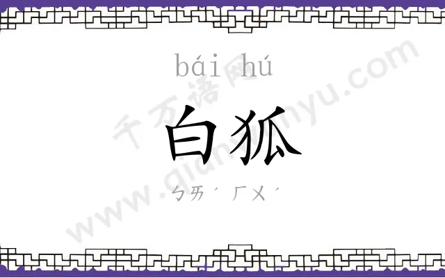 白狐