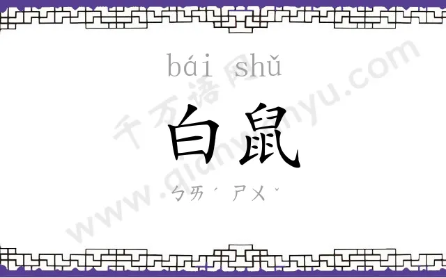 白鼠