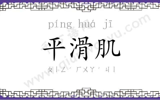 平滑肌