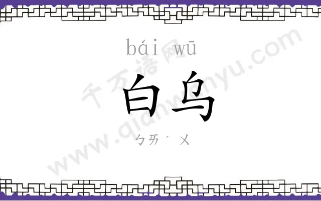 白乌