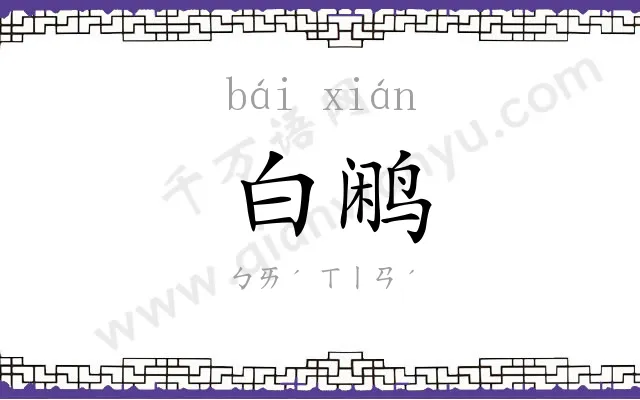 白鹇