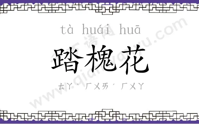 踏槐花