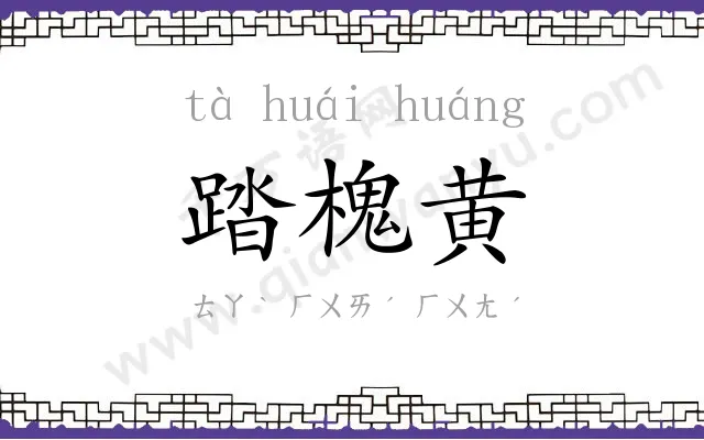 踏槐黄