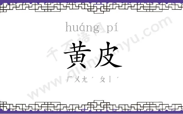 黄皮