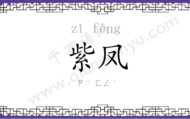 紫凤