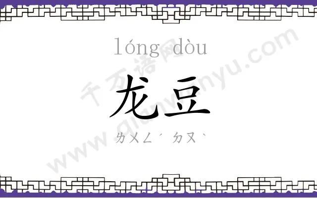 龙豆