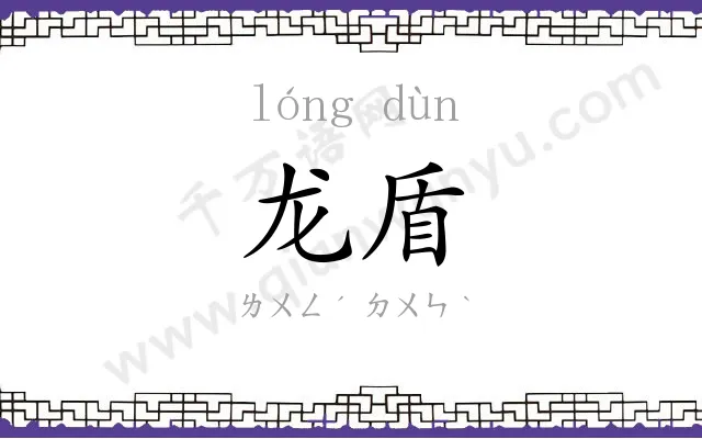 龙盾