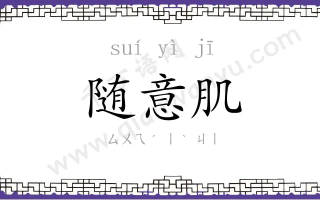 随意肌