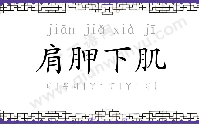 肩胛下肌