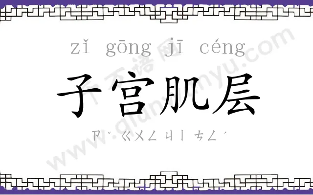 子宫肌层