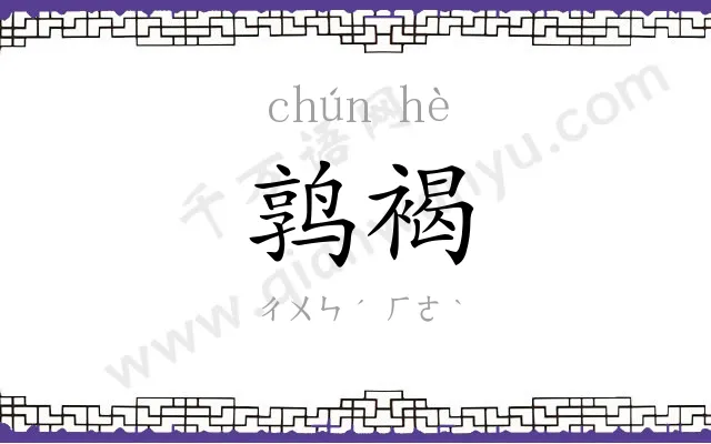 鹑褐