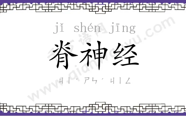 脊神经