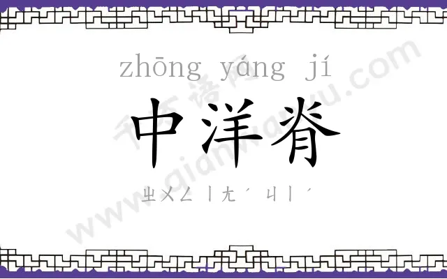 中洋脊