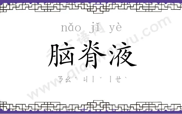 脑脊液