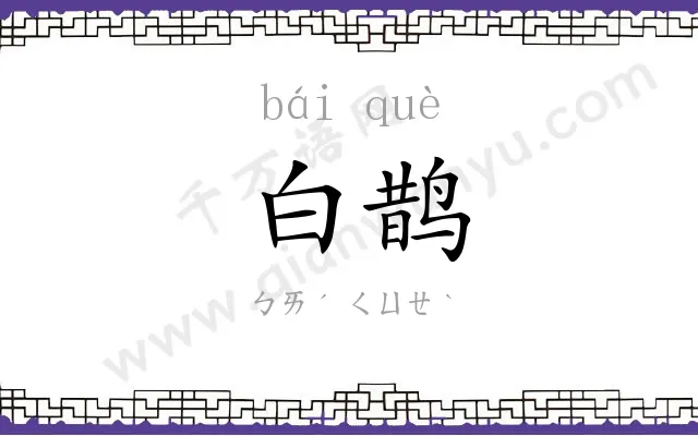 白鹊