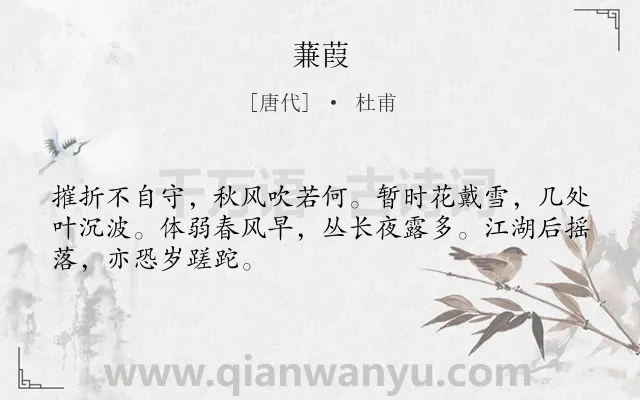 《蒹葭》作者是唐代的杜甫.本诗词属于高一;九年级;八年级;感慨;时间;岁月类诗词.诗词全文约共48字.