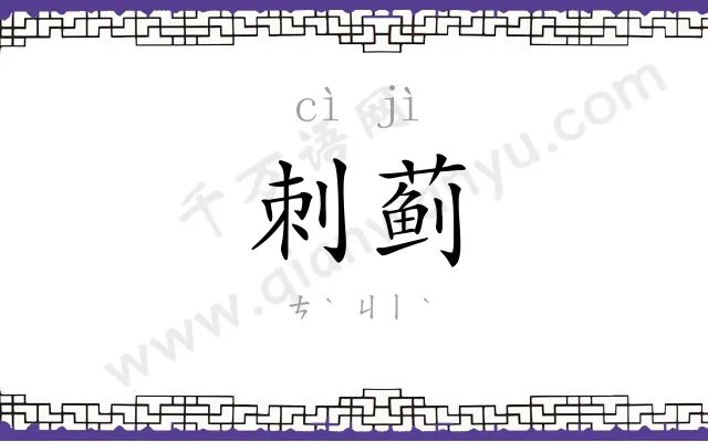 刺蓟