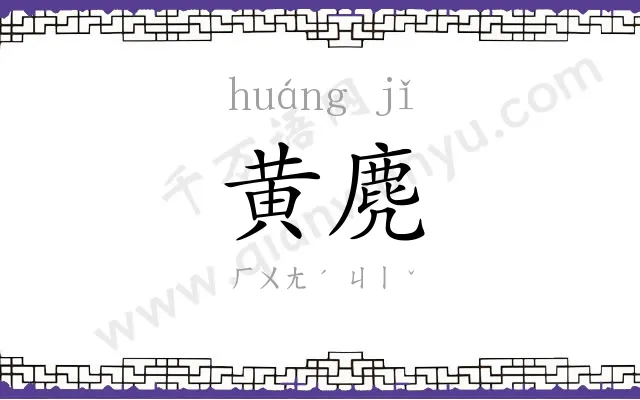 黄麂
