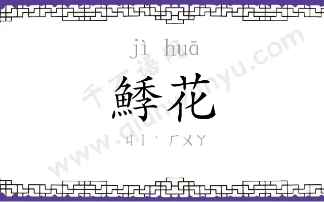 鯚花