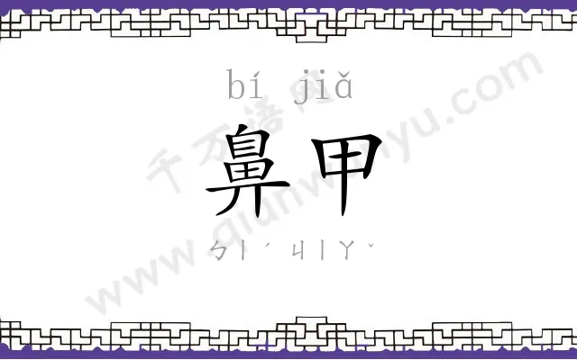 鼻甲