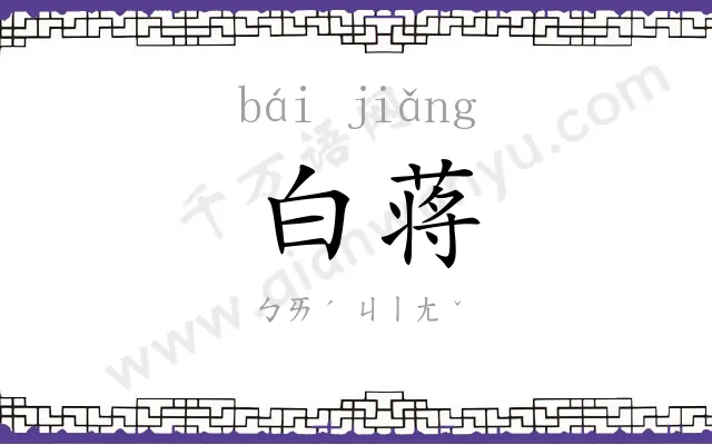白蒋
