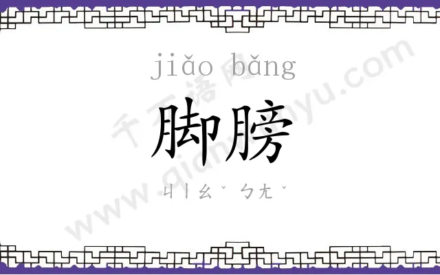 脚膀