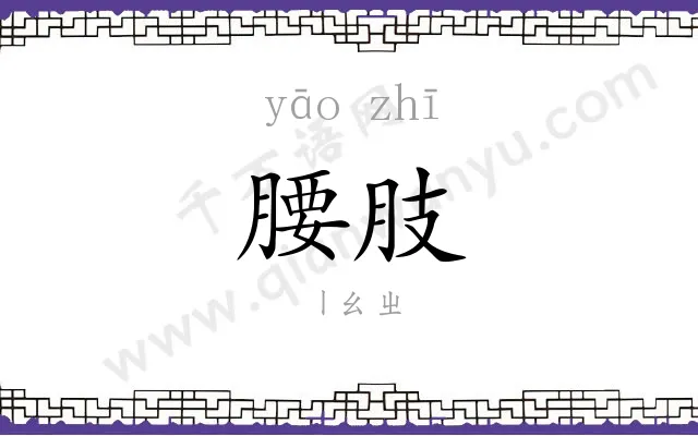 腰肢