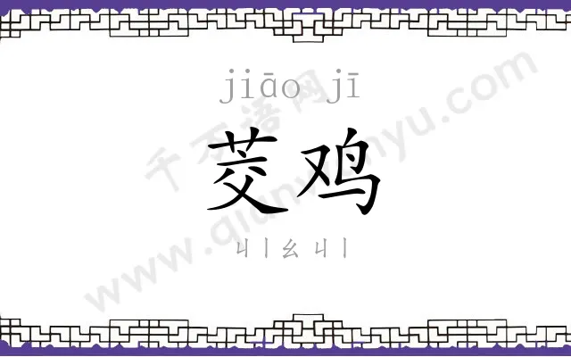 茭鸡