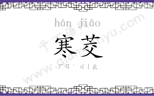 寒茭
