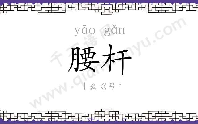 腰杆