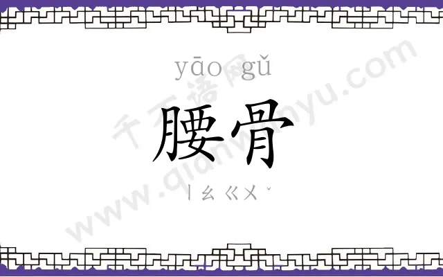 腰骨