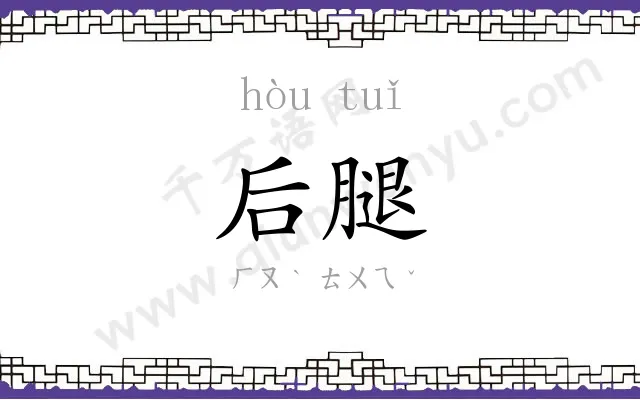 后腿