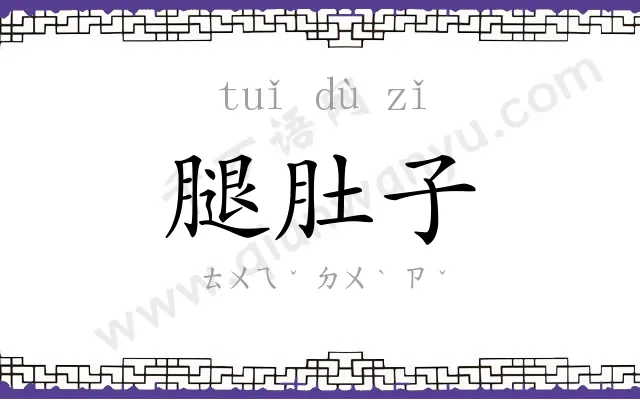 腿肚子