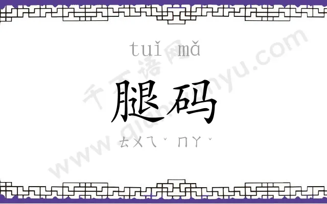 腿码